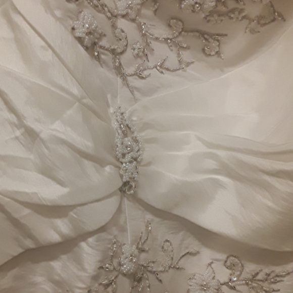 David's Bridal Wedding Dress - Picture 4 of 4